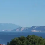 Mare